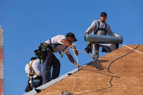 Best Metal Roofing Contractor  in Orcdlands Estates, HI