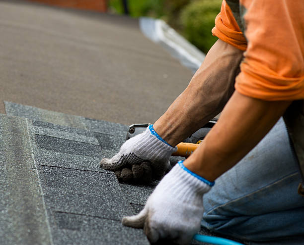 Roof Waterproofing Services in Orchidlands Estates, HI